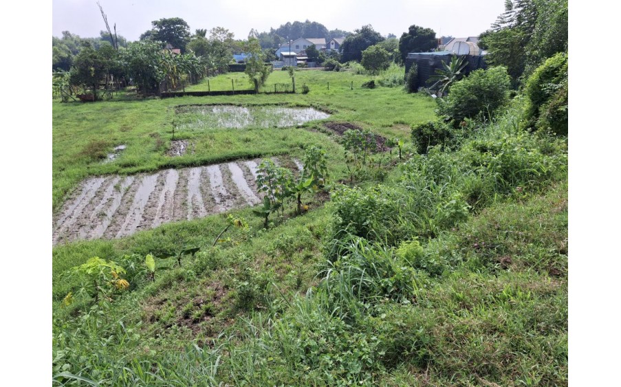 Đất view kênh Đường 566 Củ Chi, 1894m2, 56x50m, Đ.5m chỉ 5.x tỷ